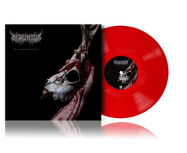 Mental Cruelty - Echoes Of A Forlorn Land vinyl cover art