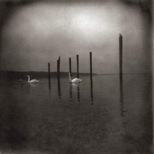 Album cover for OM - Conference Of The Birds on vinyl