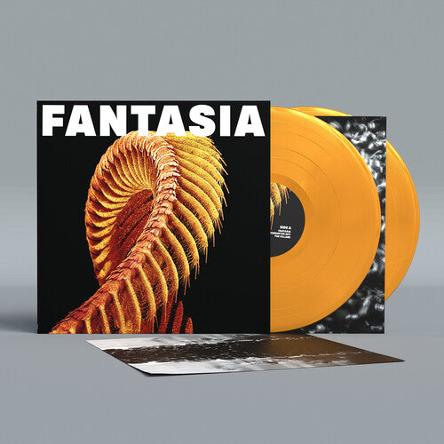Additional product image for Slift - Fantasia