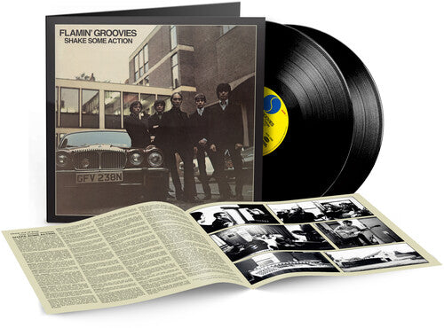 Additional product image for Flamin' Groovies - Shake Some Action