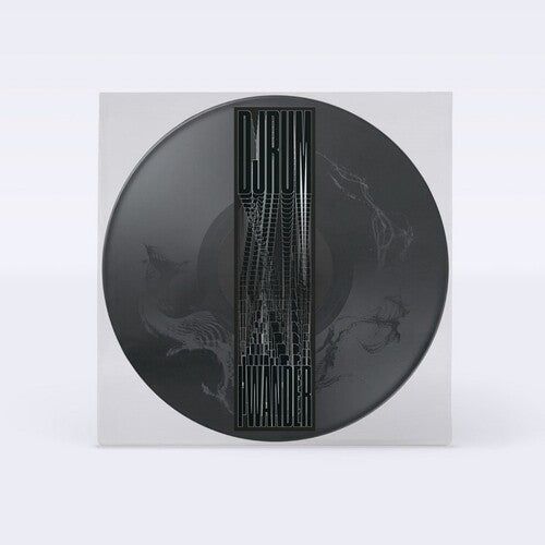 Album cover for Djrum - I Wander on 12" picture disc etched
