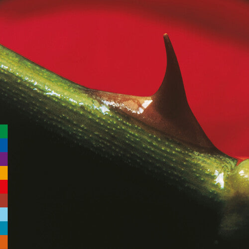 Nusrat Fateh Ali Khan/Michael Brook - Night Song [LP Green Vinyl