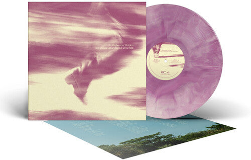 Bees Made Honey In The Vein Tree - In Between Strides [LP Colored