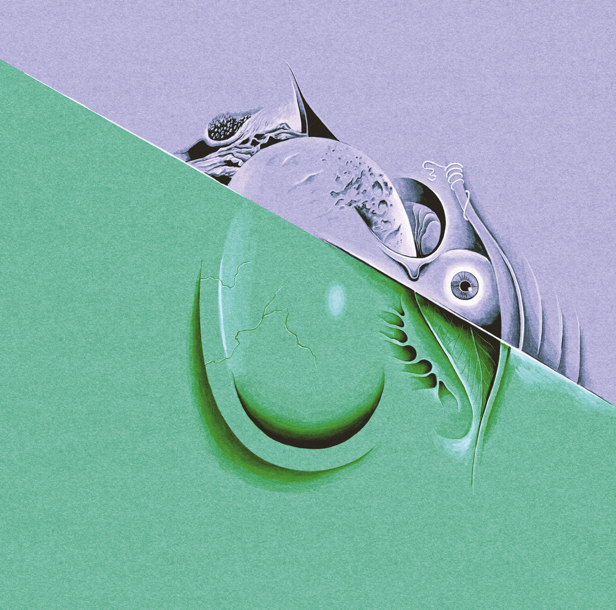Razen - Stained Glass Starling vinyl product image