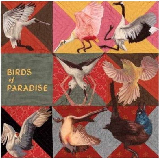 Album cover for Thomas Dollbaum - Birds Of Paradise on vinyl lp