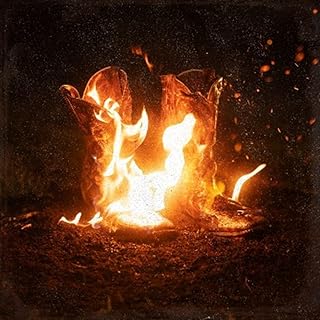 Album cover for Ben Fuller - Walk Through Fire on 2lp vinyl