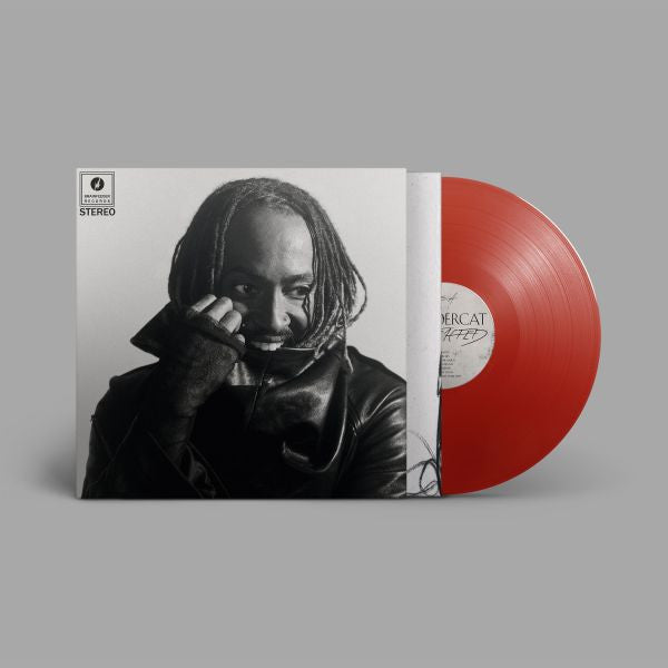 Thundercat — Distracted — product artwork