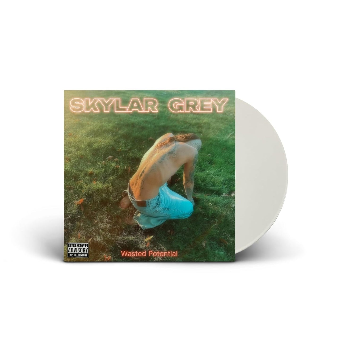 Album cover for Skylar Grey - Wasted Potential on vinyl lp