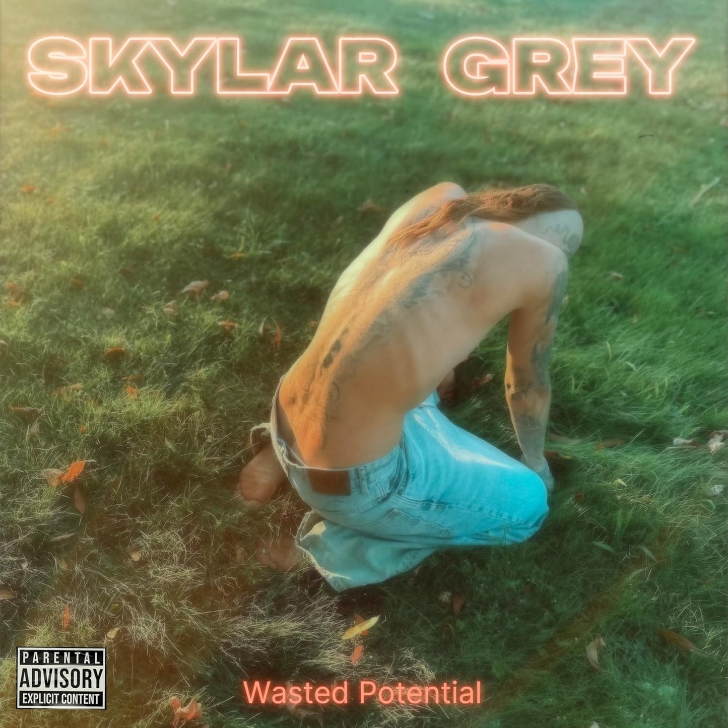 Album cover for Skylar Grey - Wasted Potential on cd