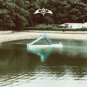 Album cover for Bird Experience - The Bird Experience on vinyl lp