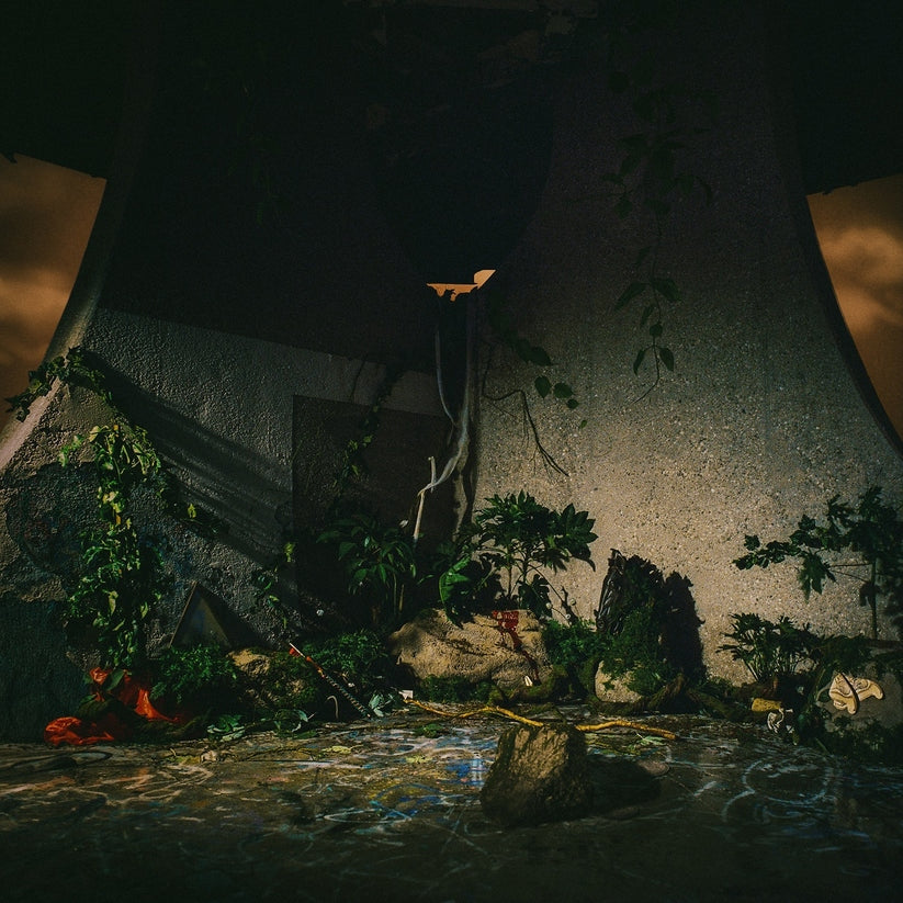 Album cover for The Plot in You - on hardwood vinyl lp
