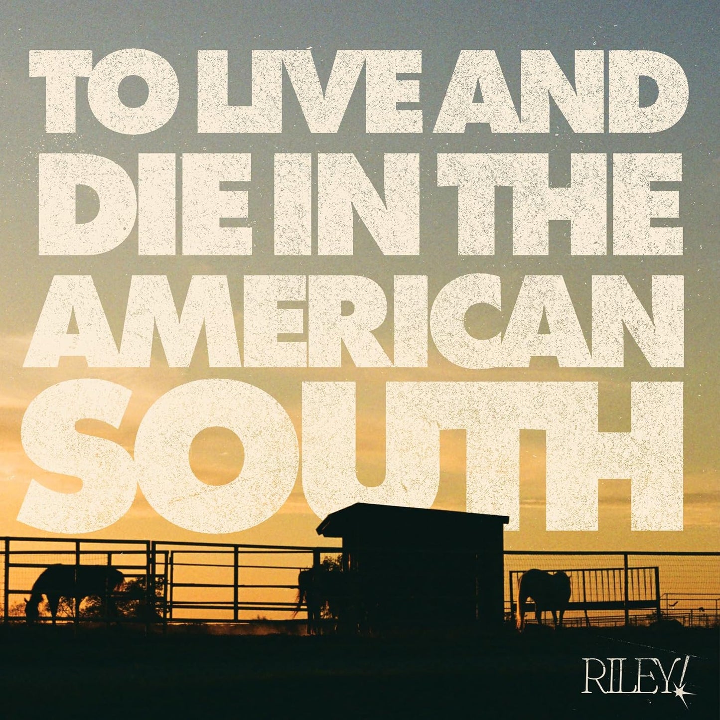 Album cover for Riley! - To Live And Die In The American South on cd