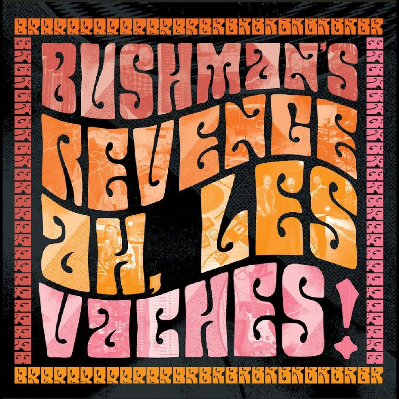 Album cover for Bushman's Revenge - Ah Les Vaches on cd