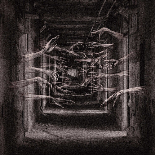 Album cover for Demonic Possessor - Porous Chambers on vinyl lp