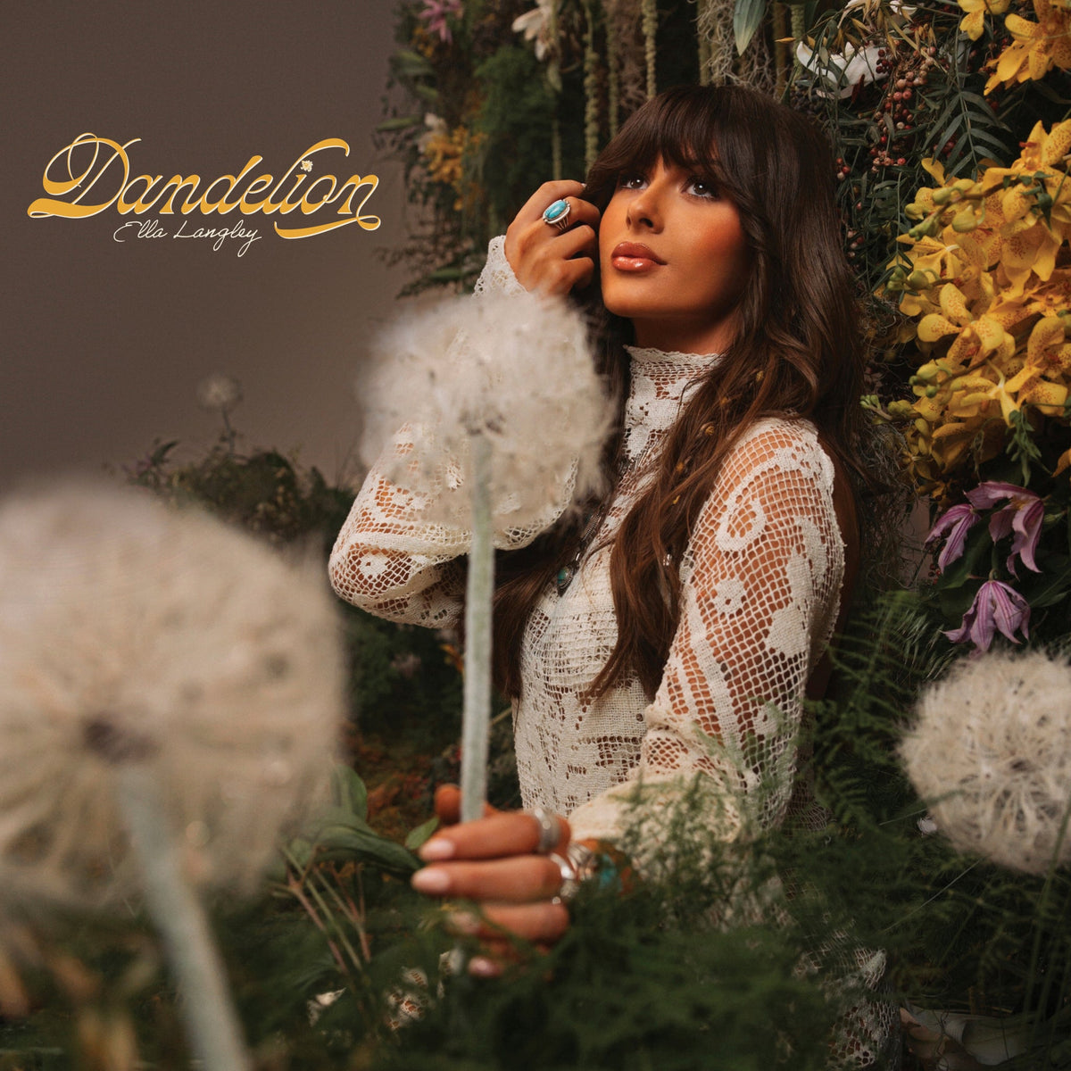 Album cover for Ella Langley - Dandelion on cd