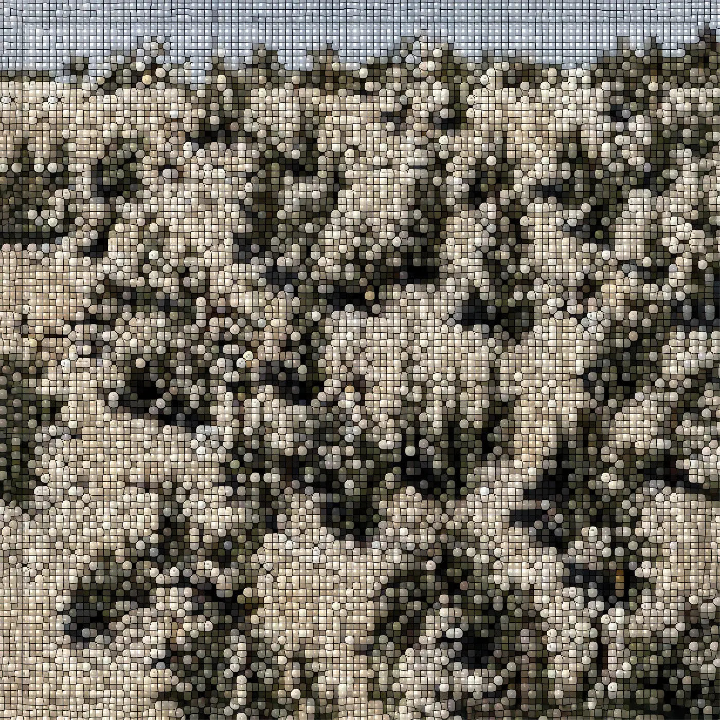 Gregory Uhlmann - Extra Stars (Star Dust Vinyl)