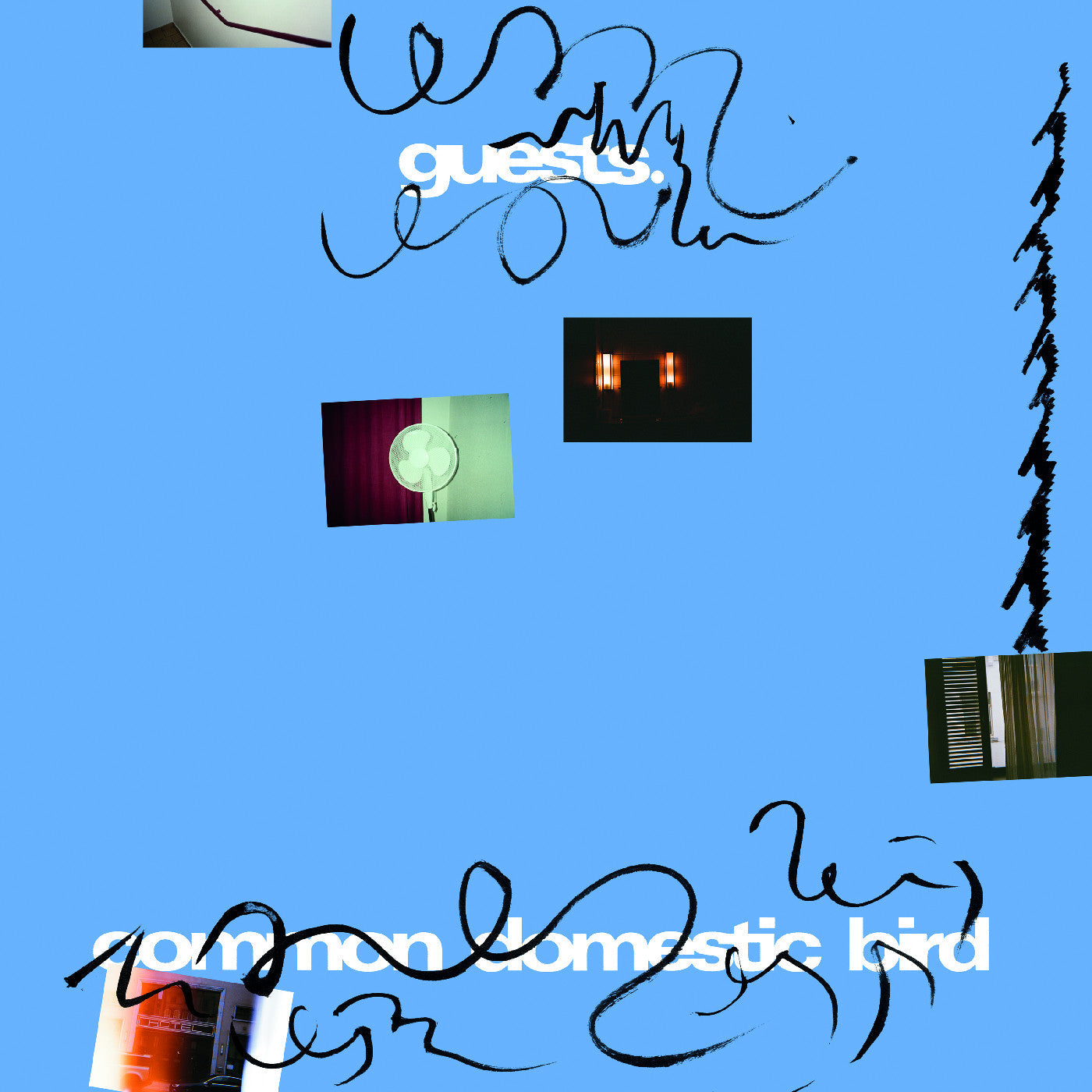 Album cover for Guests - Common Domestic Bird on vinyl