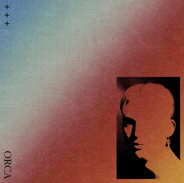 Album cover for Gus Dapperton - Orca on vinyl
