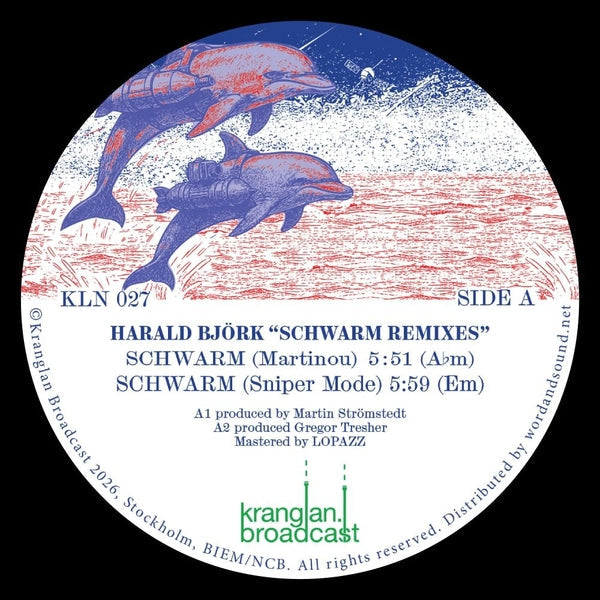 Album cover for Harald Bjork - Schwarm Remixes on vinyl