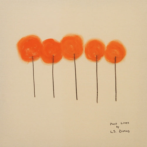 Album cover for L.S. Dunes - Past Lives on vinyl