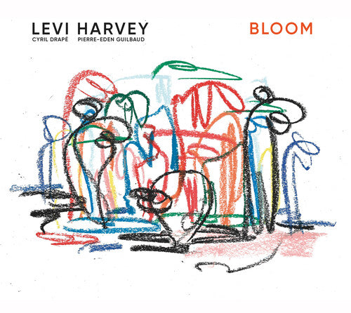 Album cover for Levi Harvey - Bloom on vinyl