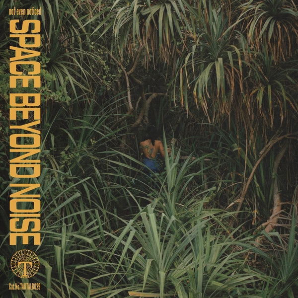 Album cover for Not Even Noticed - Space Beyond Noise on vinyl lp