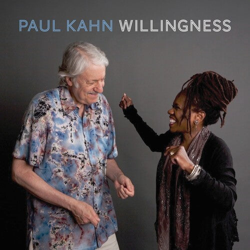Album cover for Paul Kahn - Willingness on vinyl lp