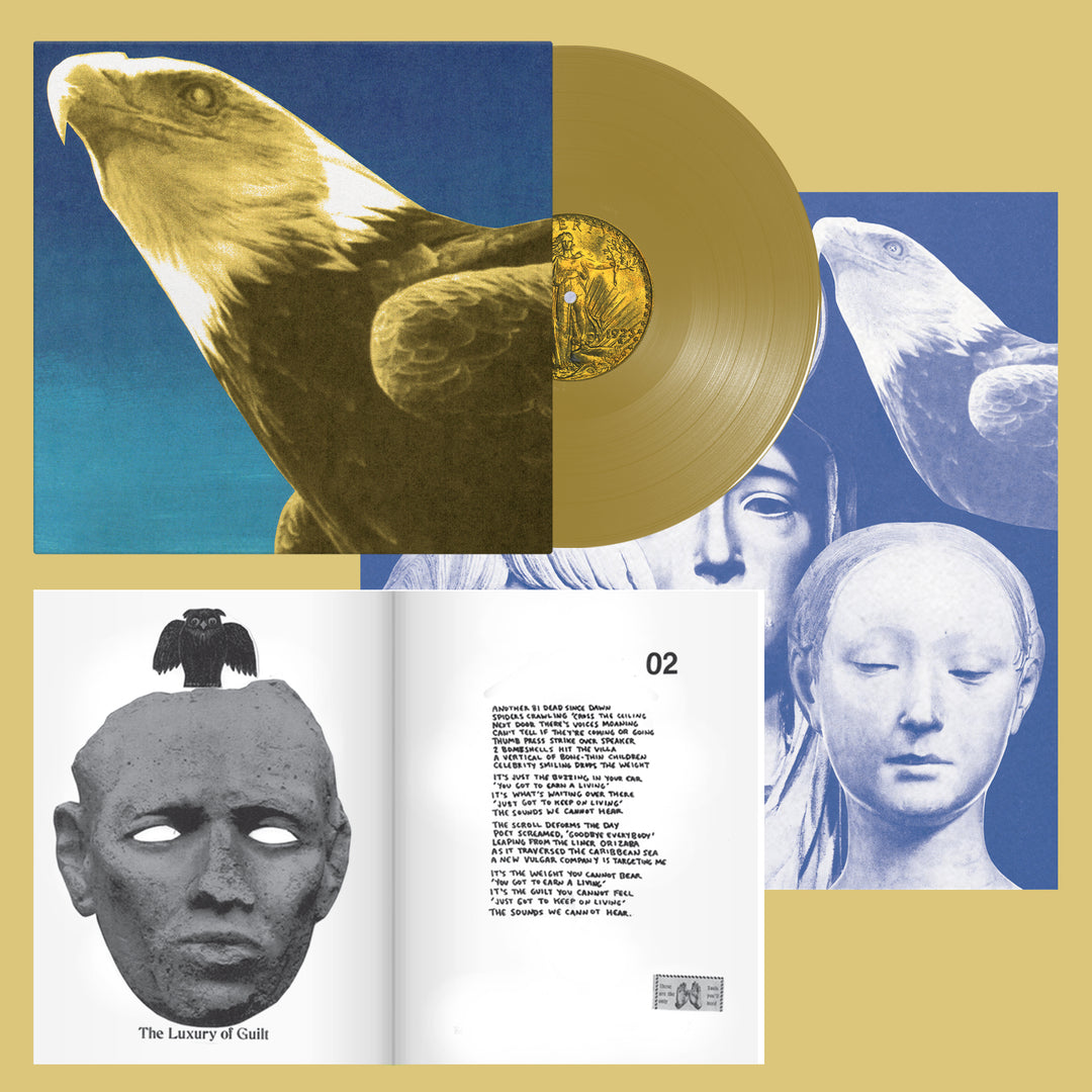 Protomartyr – Hotel Usona product image