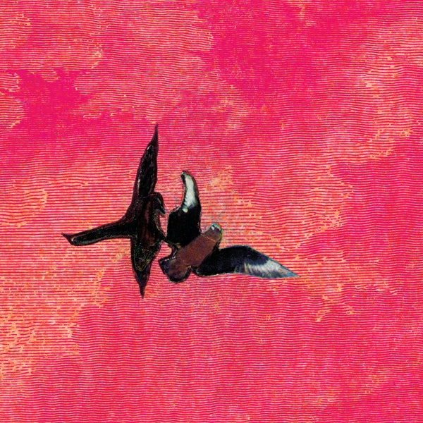 Album cover for Sebastian Rojas - En La Orilla on vinyl