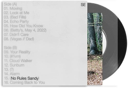 Album cover for Sylvan Esso - No Rules Sandy on vinyl