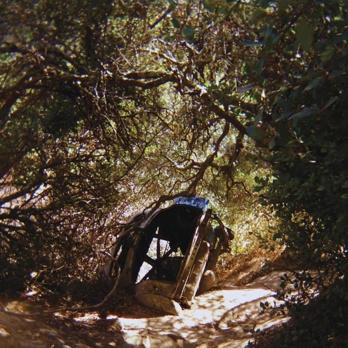 Ty Segall — Possession, cover artwork