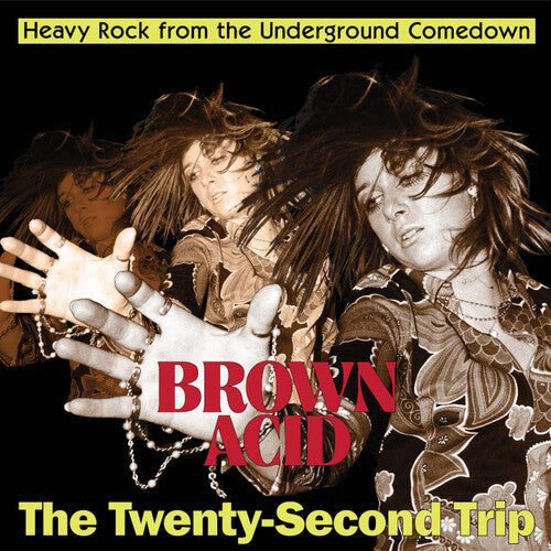 Album cover for Various Artists - Brown Acid: The Twenty-Second Trip on vinyl lp