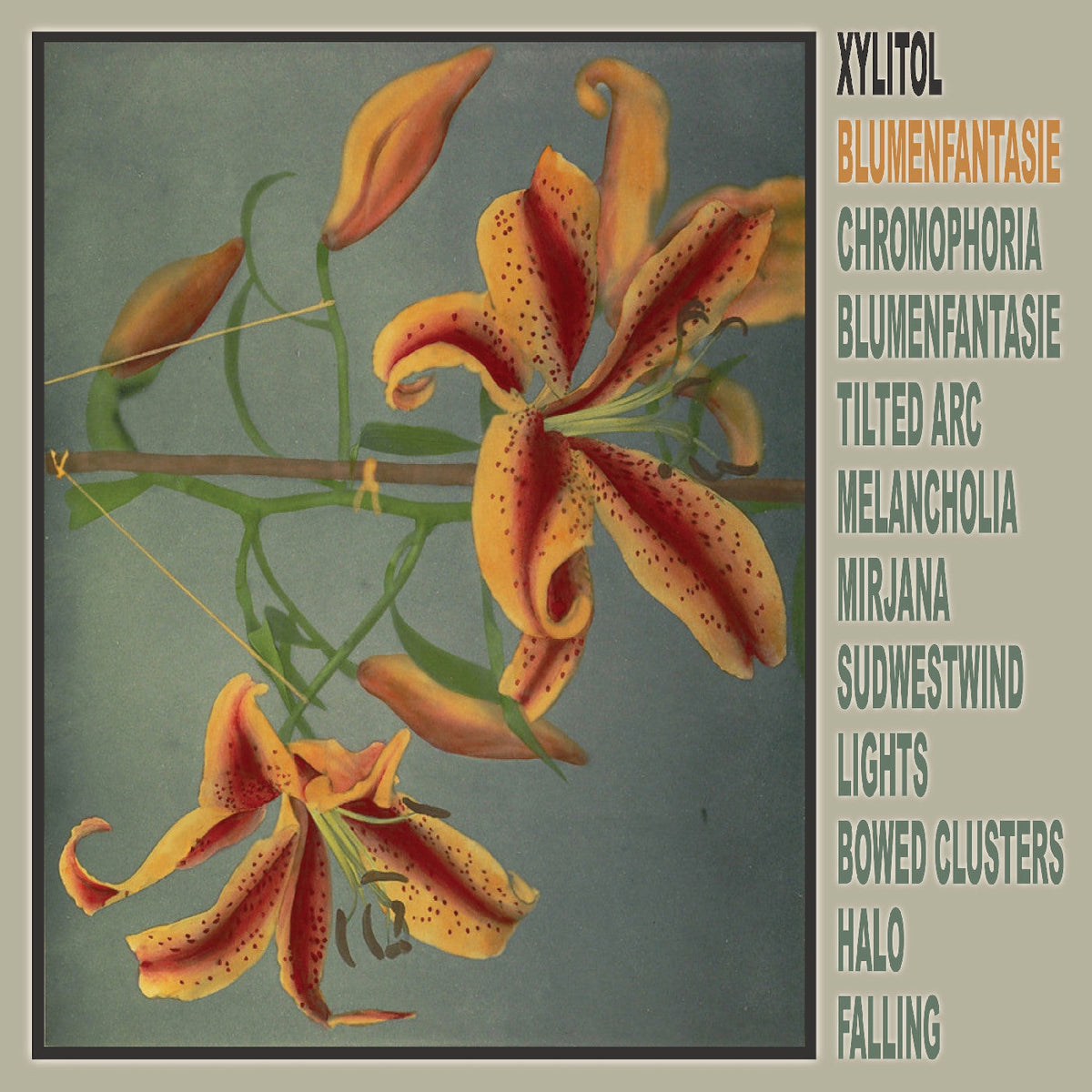 Xylitol — Blumenfantasie — product artwork