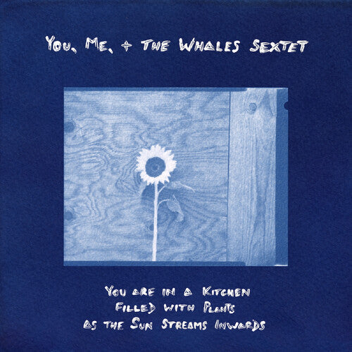 Album cover for You, Me, + the Whales Sextet - You Are In A Kitchen Filled With Plants As The Sun Streams Inwards on vinyl lp