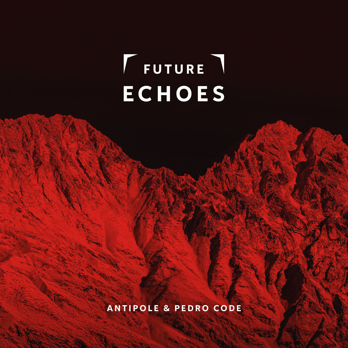 Album cover for Antipole & Pedro Code - Future Echoes on vinyl lp