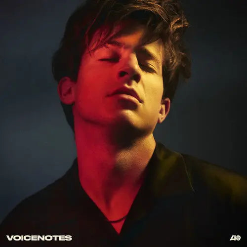 Voicenotes [Vinyl]