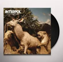 Interpol – Our Love to Admire (Vinyl 2LP) artwork