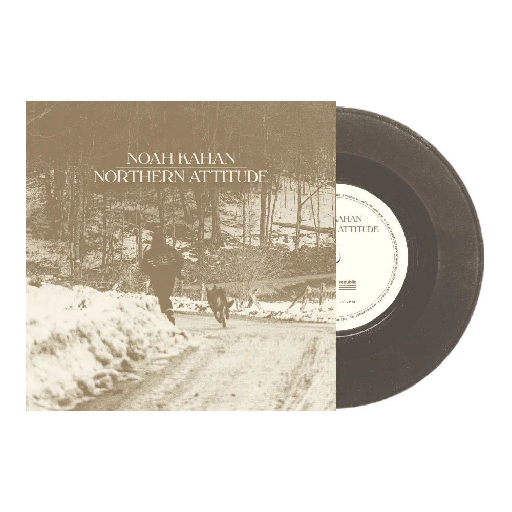 Northern Attitude [Black Ice 7" Vinyl Single + Poster]