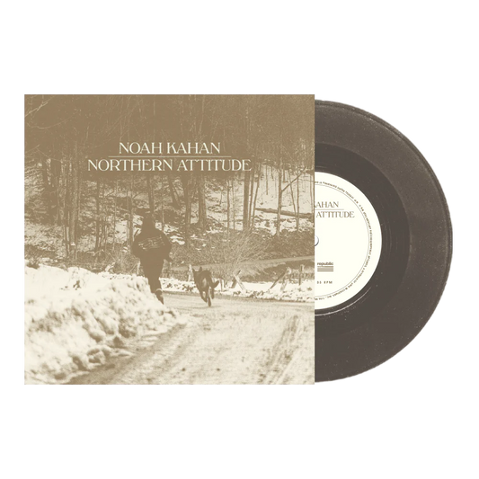 Northern Attitude [Black Ice 7" Vinyl Single + Poster]