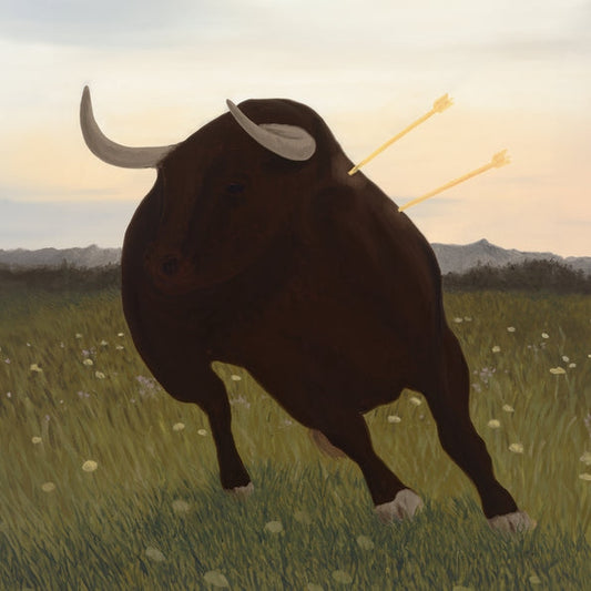 Songs For The Spine [LP] (import)