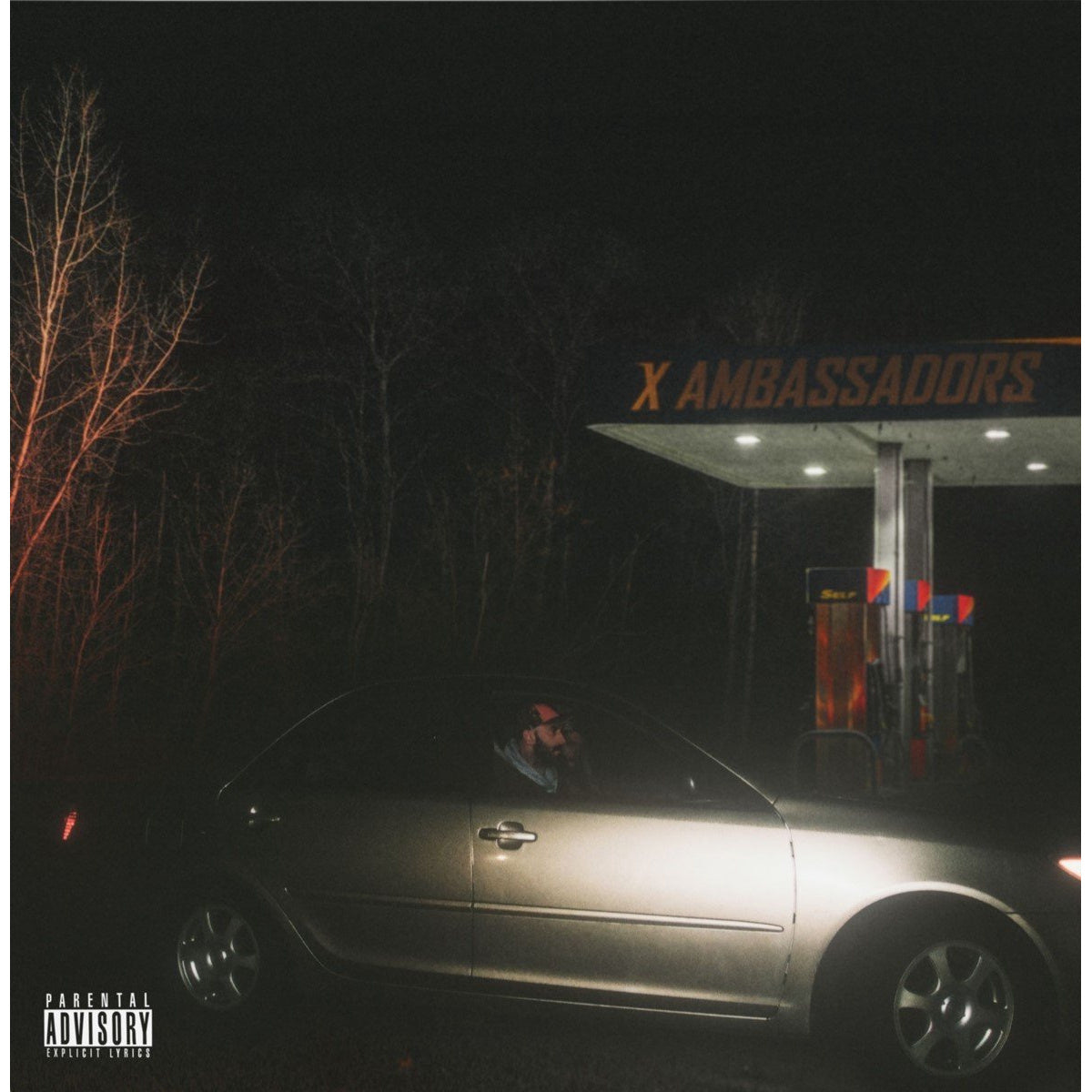 X Ambassadors - Townie [LP]