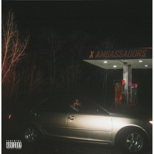 X Ambassadors - Townie [LP]