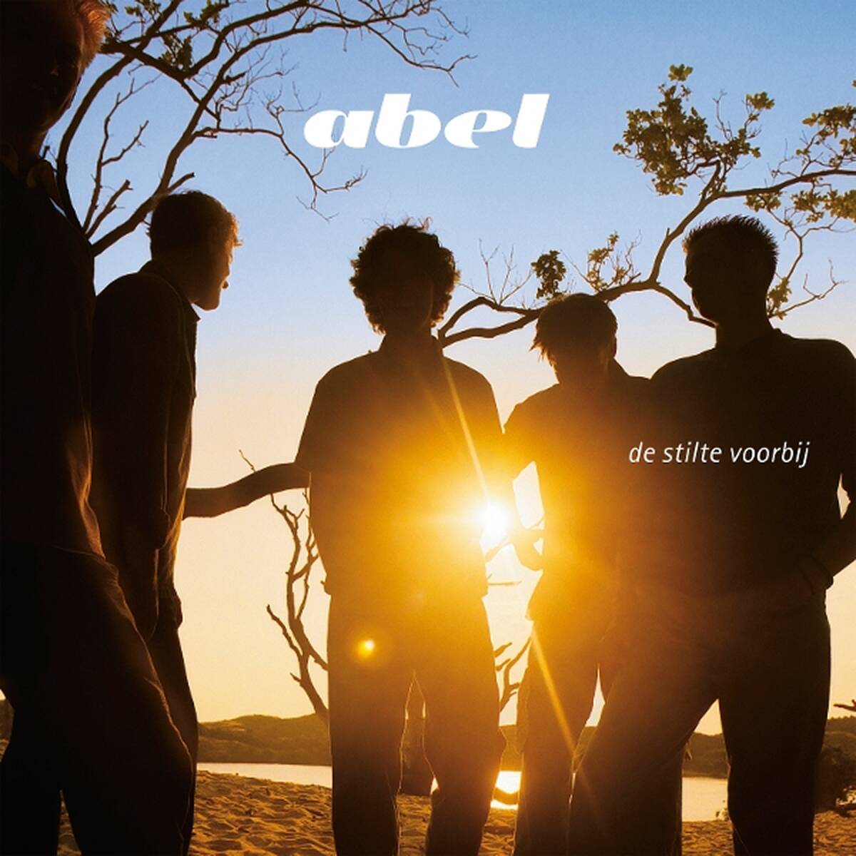 De Stilte Voorbij [LP]