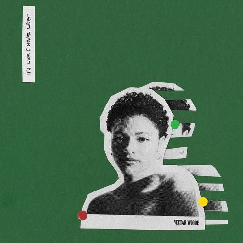 It's Like I Never Left [LP]