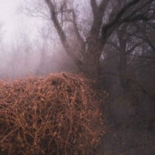 Nincs Szennyezetlen Szep [LP]