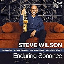 Steve Wilson - Enduring Sonance — album artwork