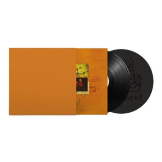 Album cover for Basement - Colourmeinkindness [2LP] (Deluxe Anniversary Edition)