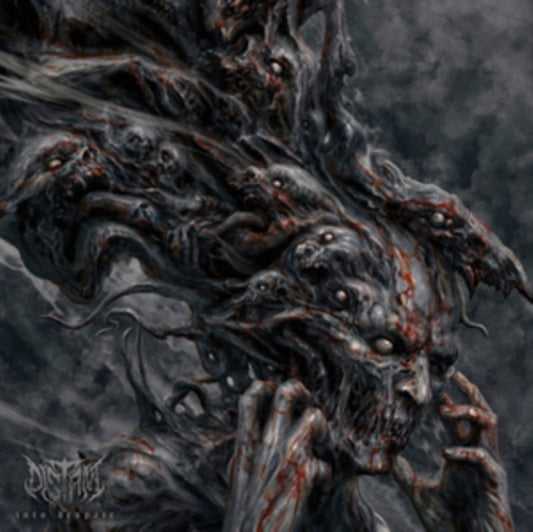 Album cover for Distant - Into Despair [LP Import]