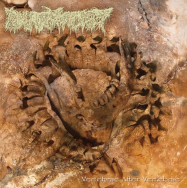 Vertebrae After Vertebrae [LP]