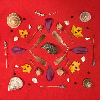 Secret Family - Grouse Head Talisman [CD]
